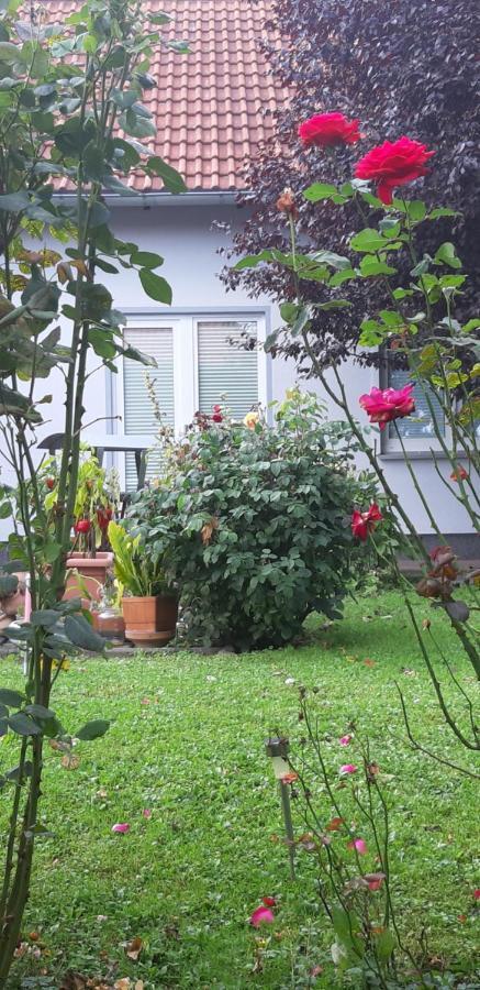 Ferienwohnung Relax Ilsenburg Exterior photo